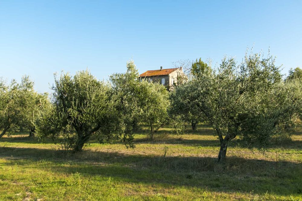 Farmhouse with 6.5 ha of land, just 5km from the coast- Reduction of price