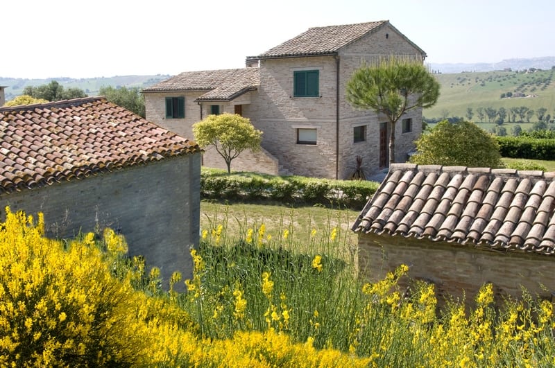 Farmhouse with Sea View, 4, 5 ha of Organic olive grove for sale in Recanati